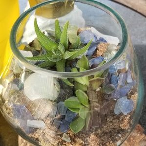 Meet your Posher, Clarissa